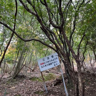 西山登山口を通って「どこから登ろう？」と、ちょっと進むと、こんな立札が 少なくとも２ヶ所にありました🙄

写真で見るより、急で滑りやすそうだったので、あっさりあきらめました🤣