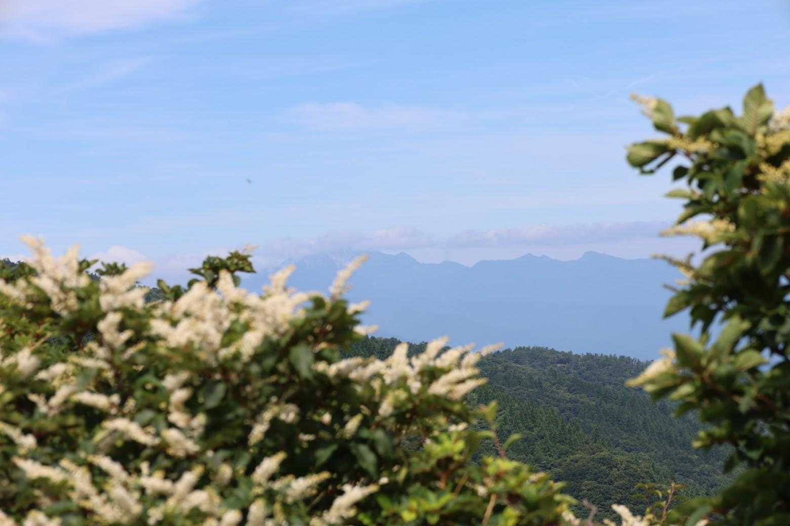 雲に隠れている大山