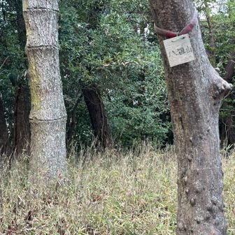 そして、眺望無し😮‍💨