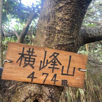 シンプルイズベスト