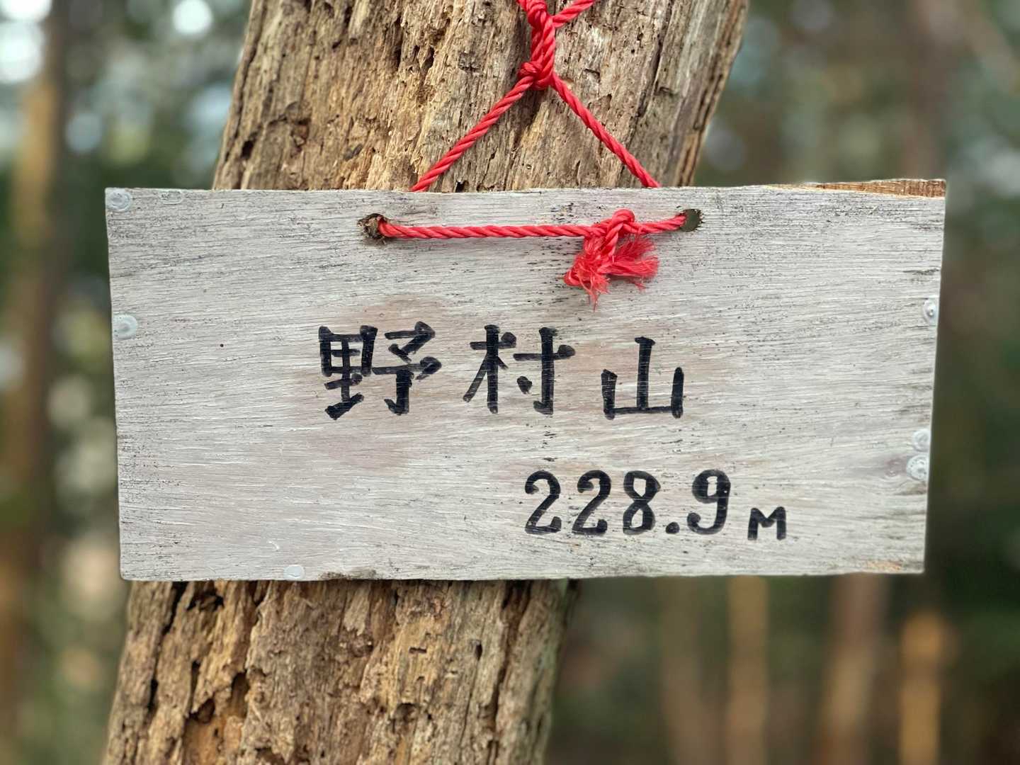 野村山-野村坂-大谷山 周回コースの写真
