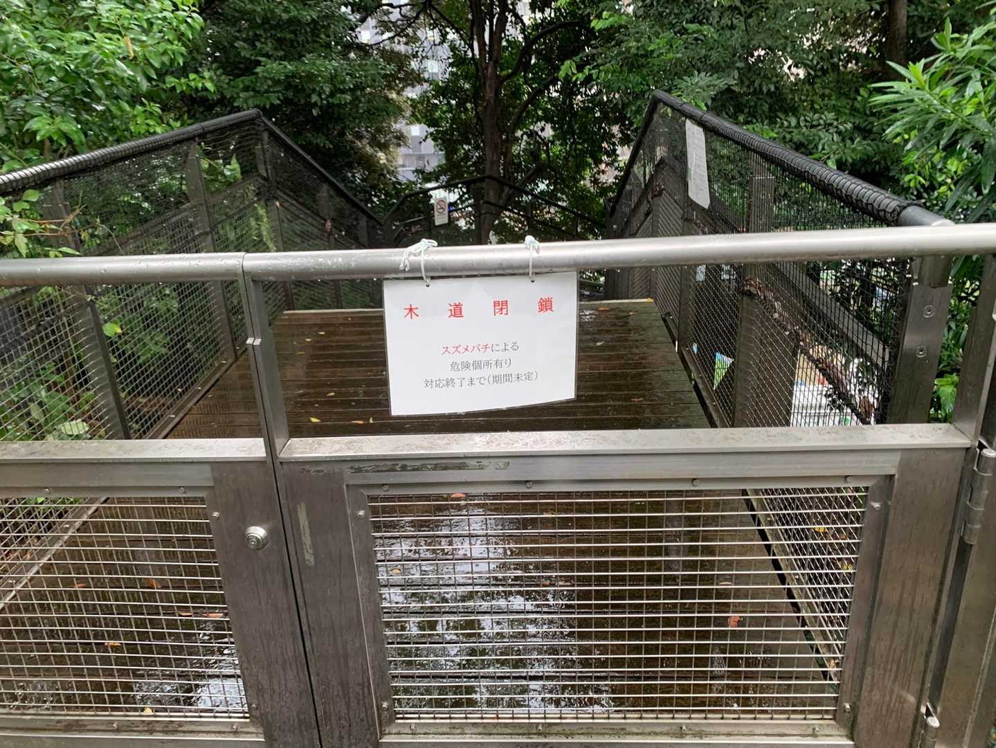 来る時に見えた木道を歩きたかったのだが、スズメバチ🐝さんのおかげで歩けず…
どっちに行けば駅か分からず右往左往再び…マジで遭難するかと思ったわ😱