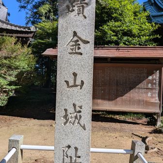 本日の最高点。
標高239m。
…夏山で登るであろう高山と桁が違う🤣