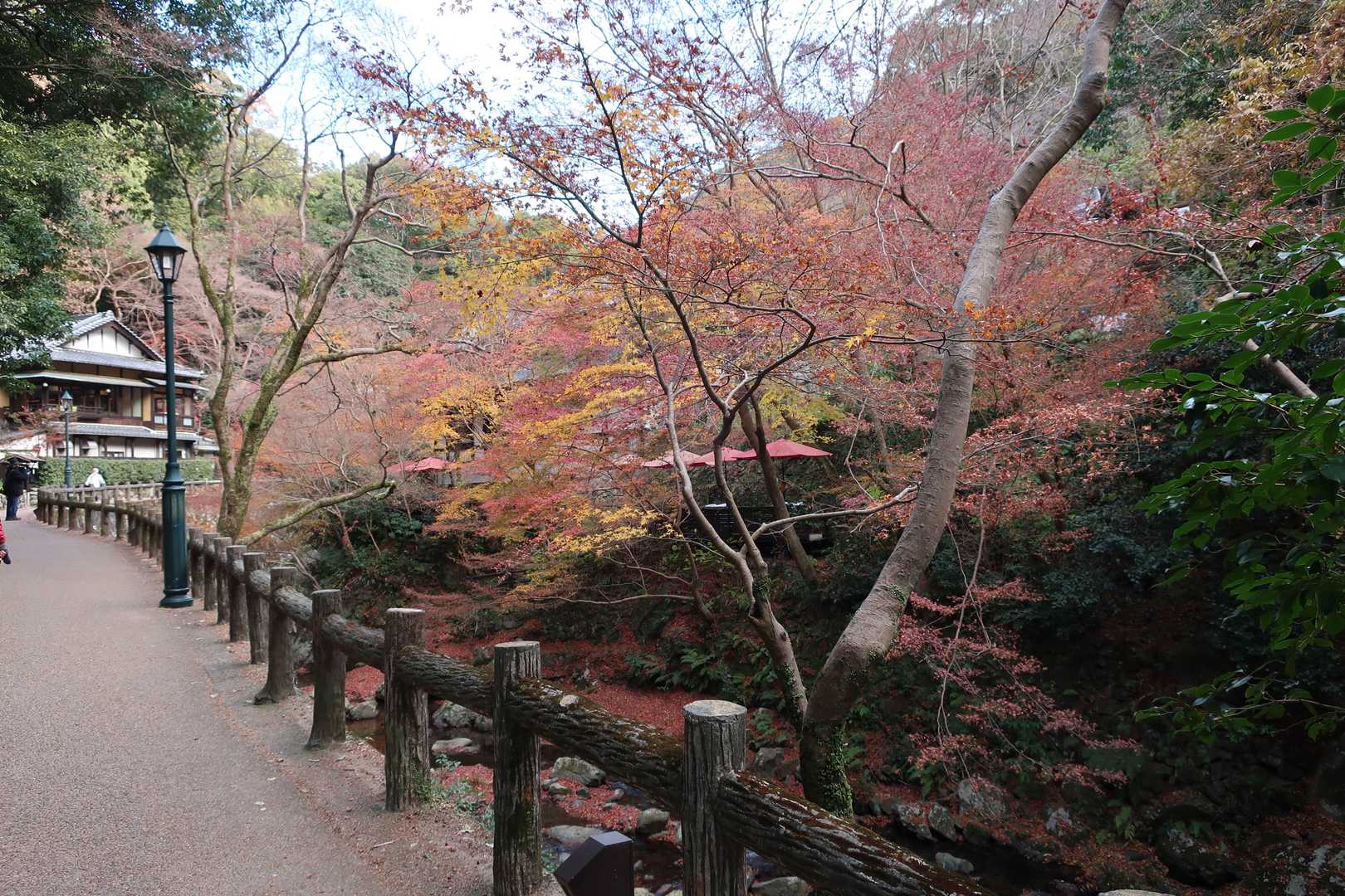 滝道　紅葉は終盤