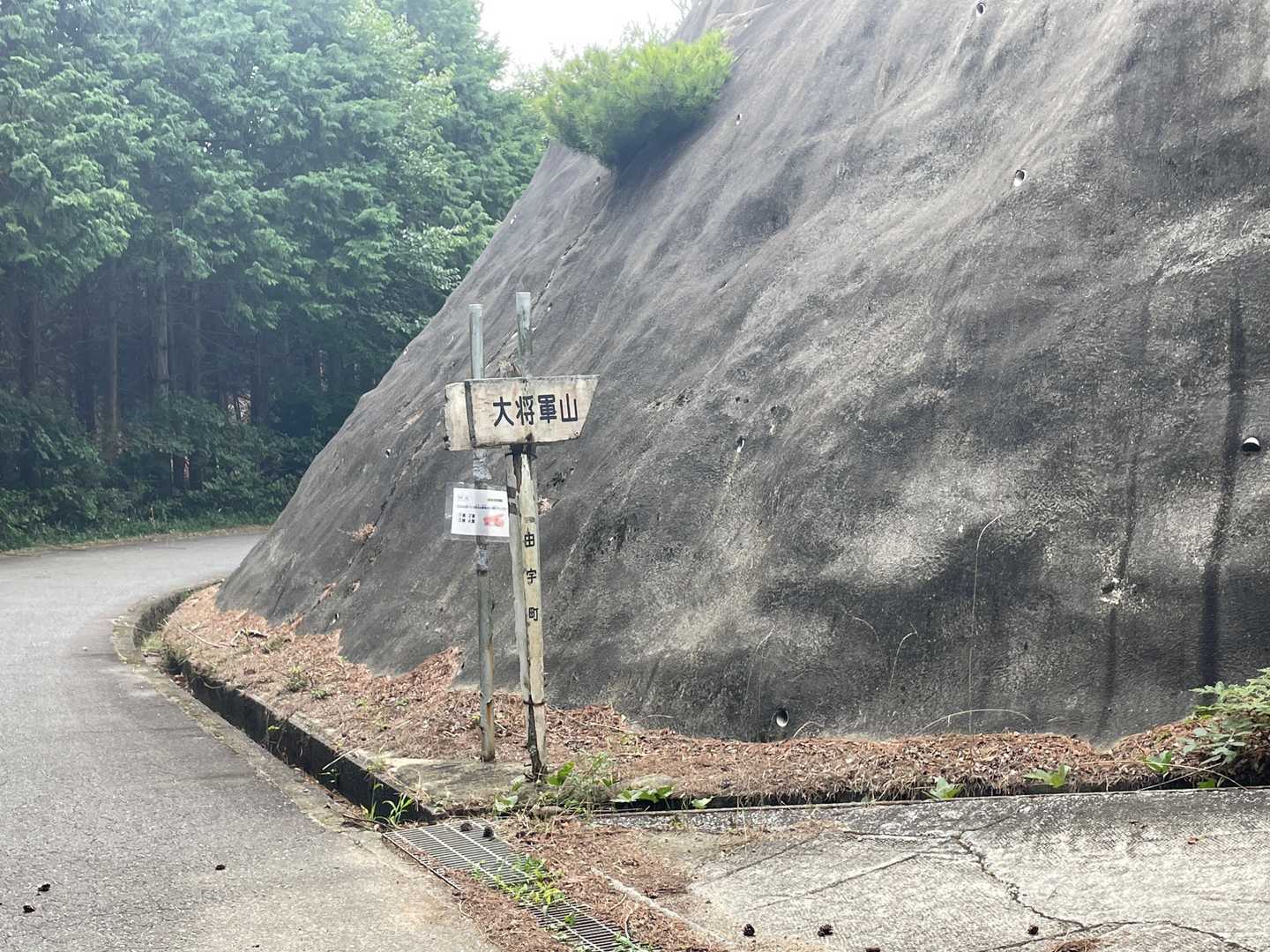 大将軍山⛰の登山口。ここからスタート。
