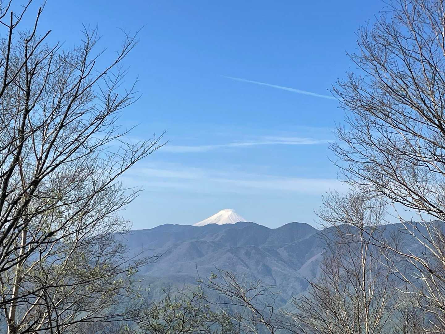 飛龍山（丹波バス停）＜ミサカ尾根＞の写真
