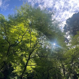 もう台風なんてどこへやら、の、いいお天気