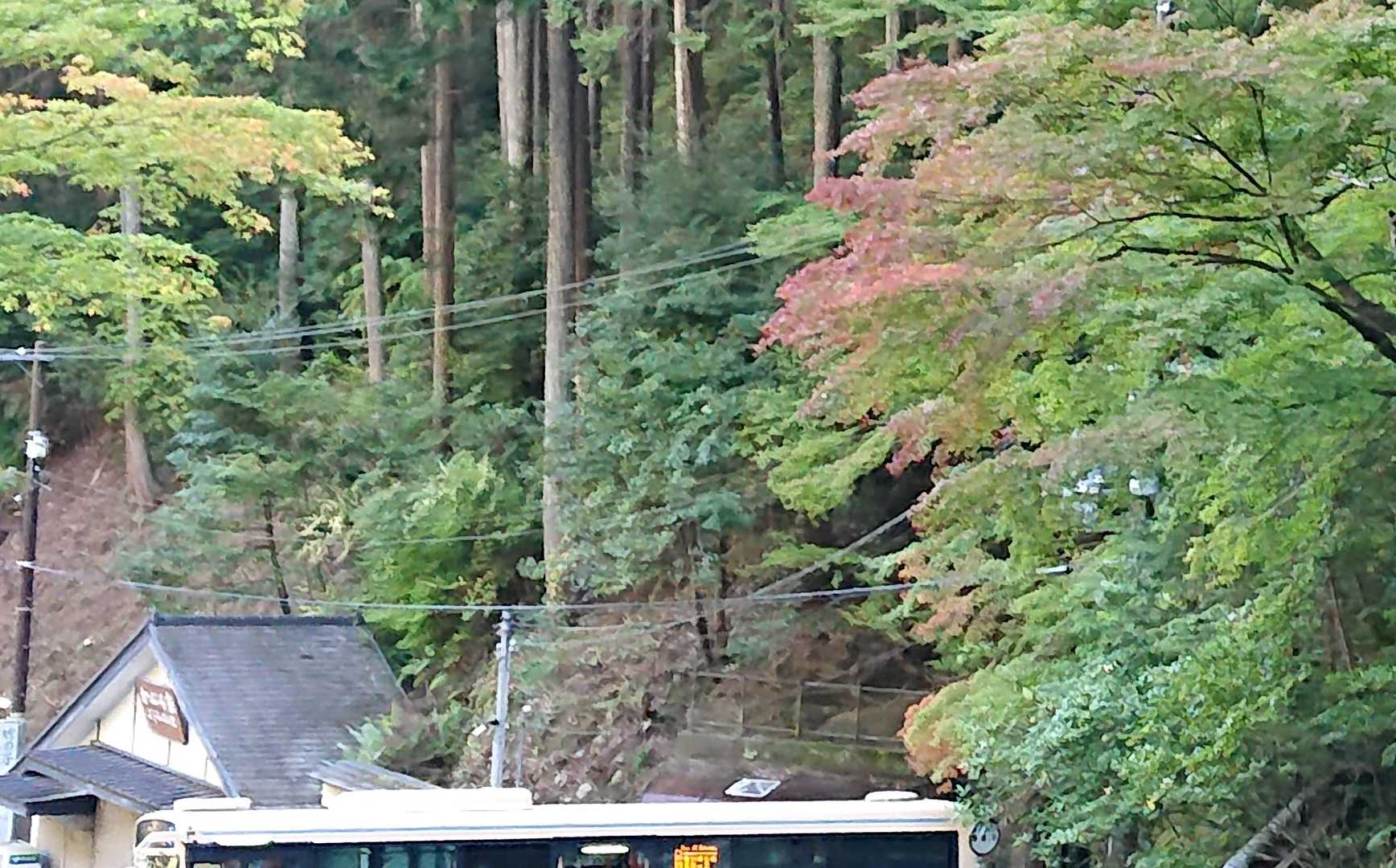 善峯寺終点。紅葉が少し遅いかな。ここは20年振りにくる。