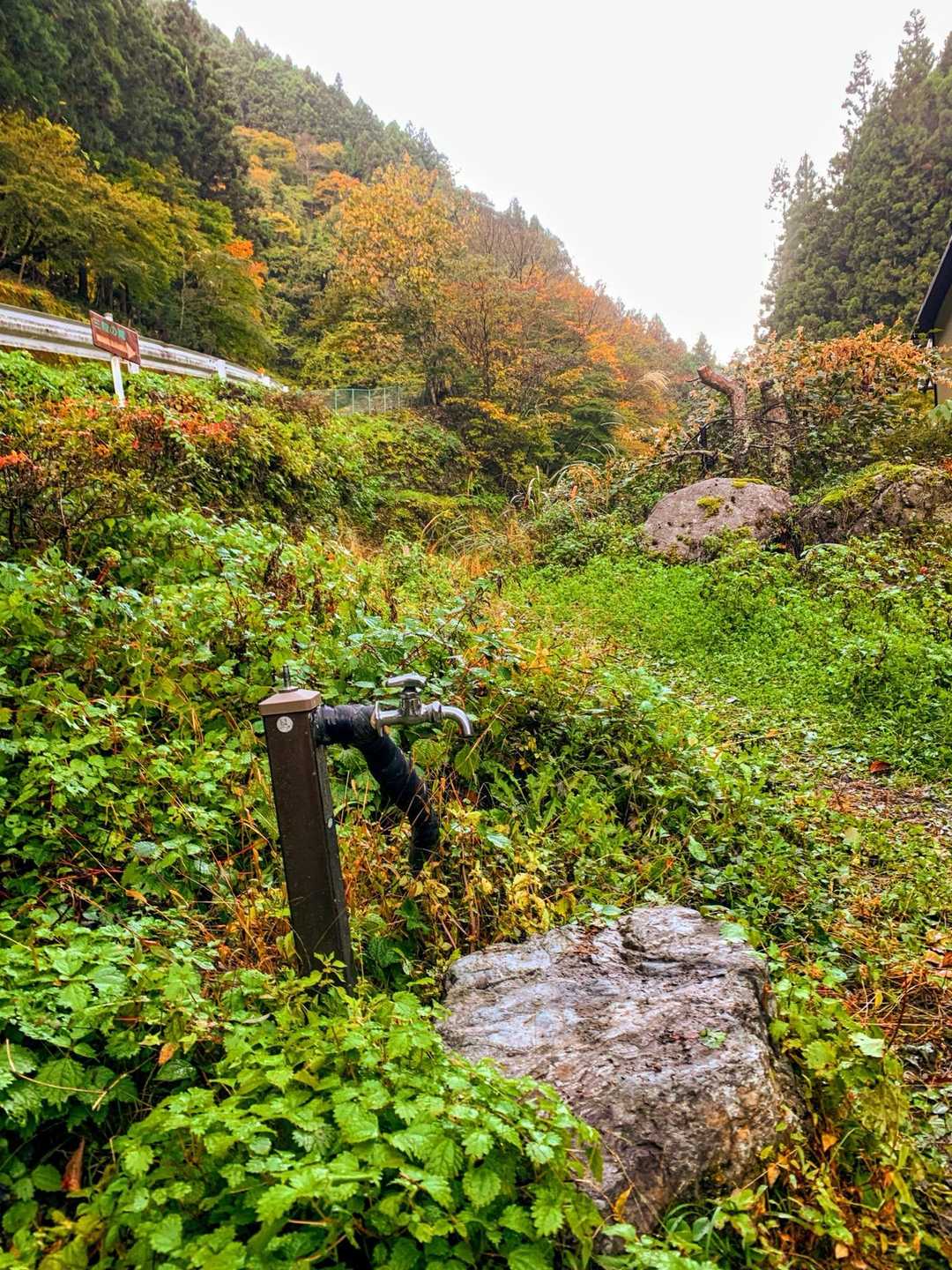 洗い場もあります💧
ドロドロになったのでとてもありがたかったです🙇‍♀️