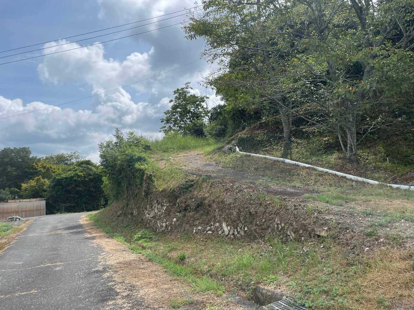 登山口に無事下山…なのか🥹

蜘蛛の巣🕸️にやられ、シダ🌿に飽き飽き、汗はダクダク💦
