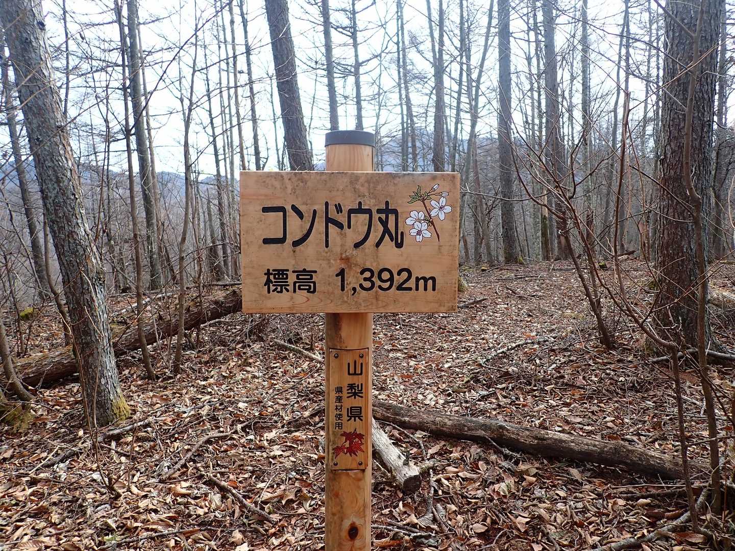コンドウ丸▲
全国のコンドウさん、ぜひ。