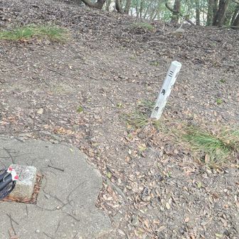 八幡宮～⛰️　山頂標識見つからず　