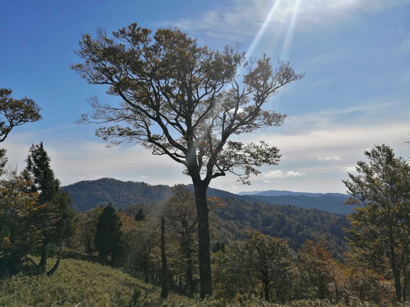 鳴滝山（鳥取県）の写真