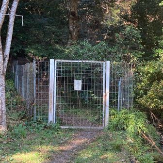 いつもの中道からスタート