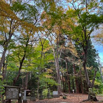 登山口も🍂