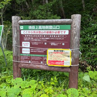 やっと上高地！！