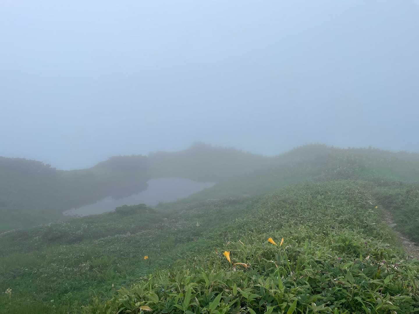 ちょっとした景色の変化はすぐ写真🤳
