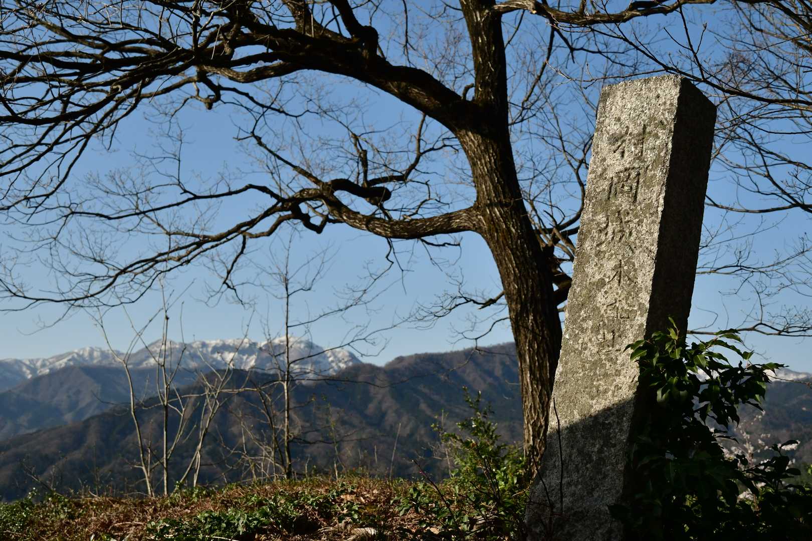 御立山 往復コースの写真