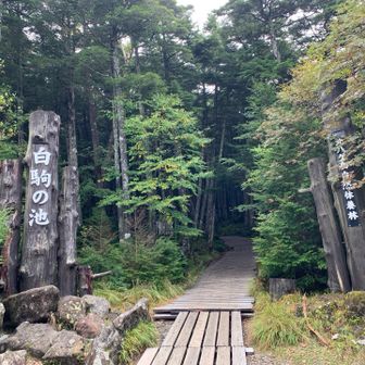 看板まで来てパチリ