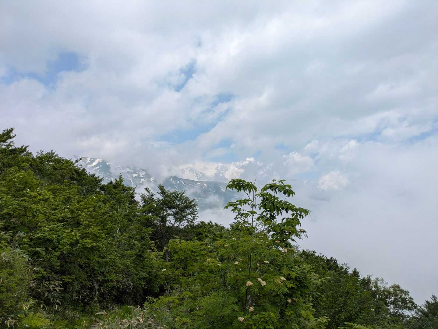やったー少し見えました😅