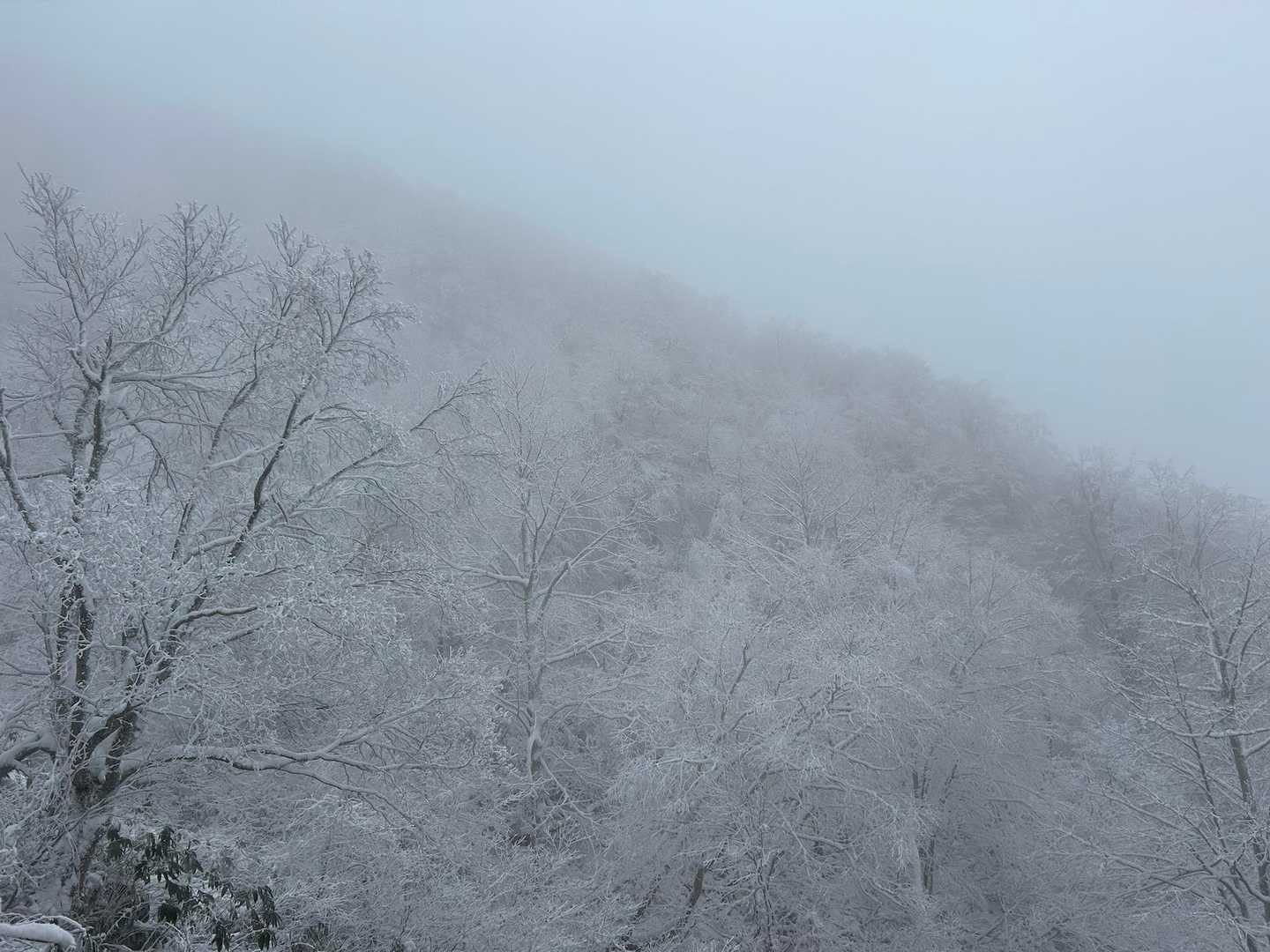 雁戸山 往復コースの写真