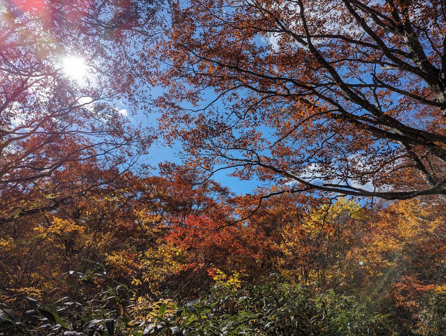 青空が気持ちいいなぁ～💙