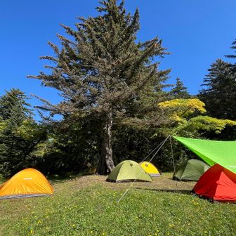テント泊も気持ちいいんだろうな⛺️