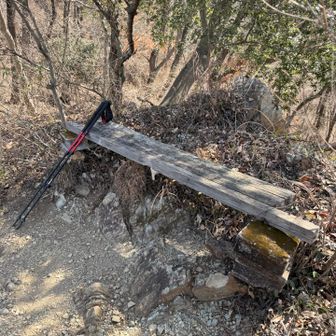 尾根道の途中にもベンチ。見晴らしが良いのでちょっと休む