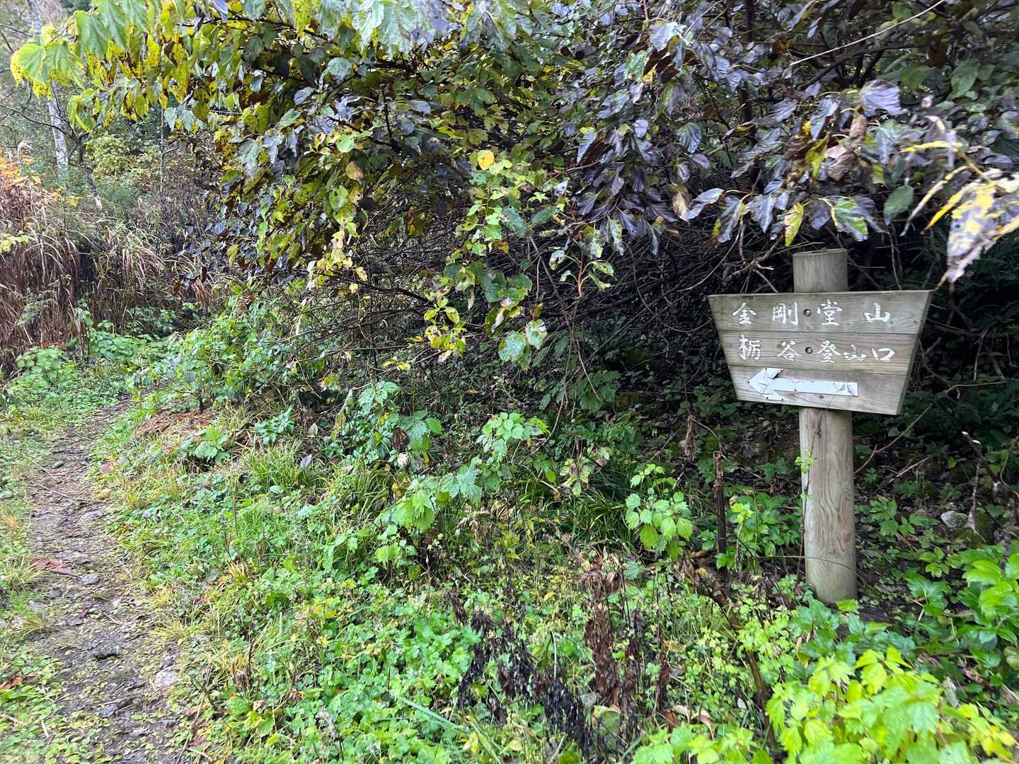 登山口