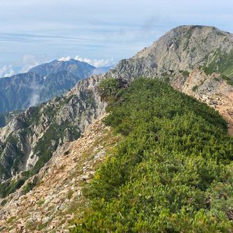 次の白馬鑓ヶ岳方面に目を向けると、奥には双耳峰の鹿島槍ヶ岳が⛰️