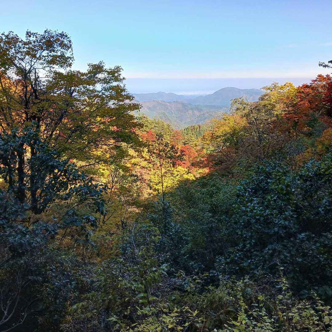 尾根をぐるっと回り込んで
トラバースになると
展望あり！