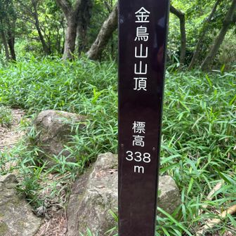 ここは展望がありむせん