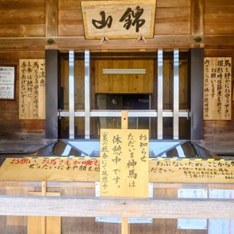 お休み中🫏