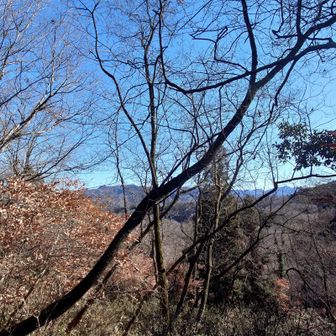 ナラ沢峠手前に小高い所があり、踏み跡もあったので上ってみました、まずまずの眺めかな ?