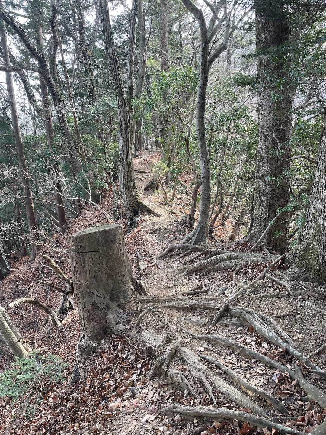高取山 往復コースの写真