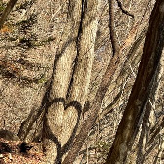しばらく待つと綺麗な♡が出現しました🤗