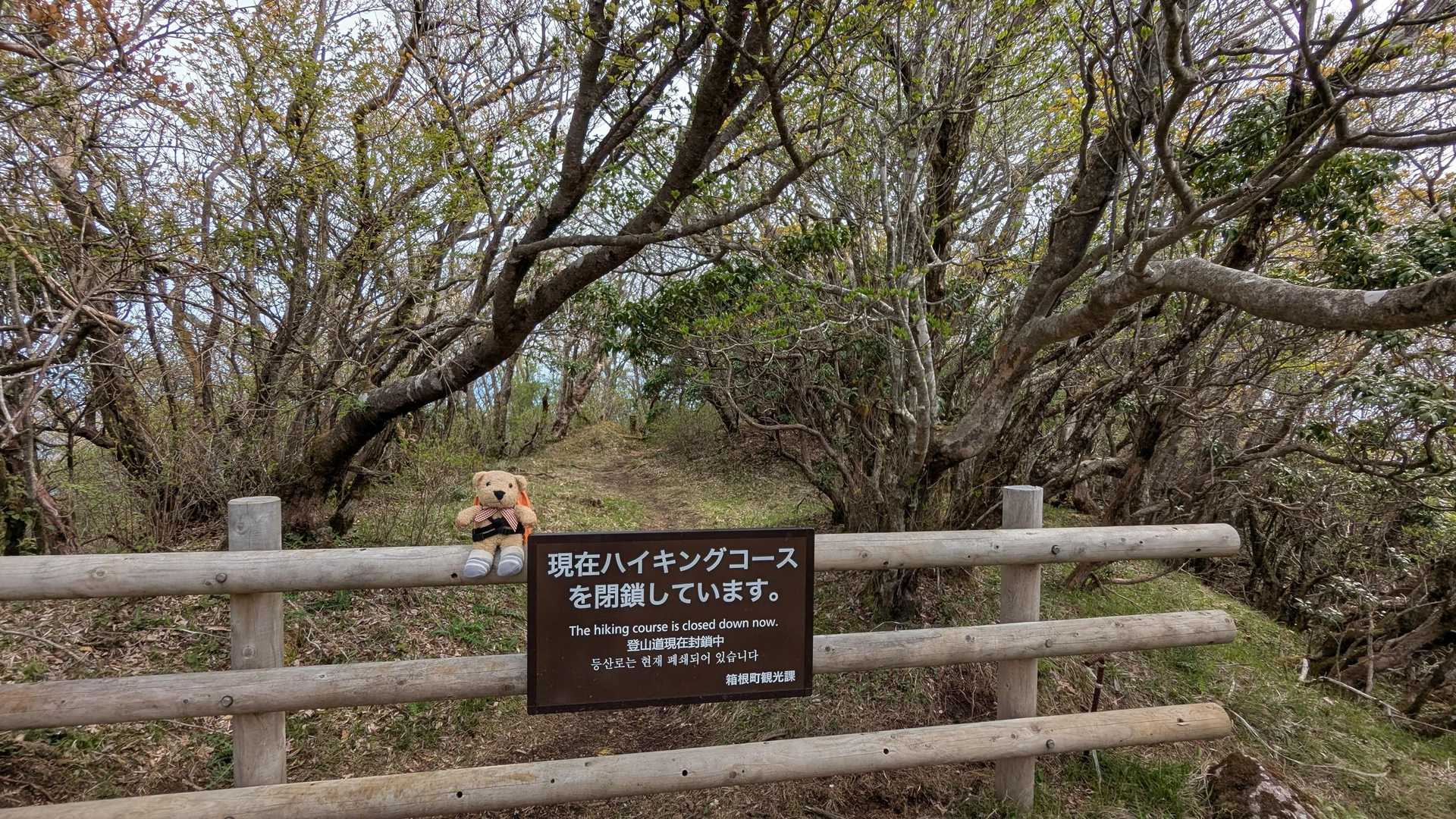 先に進みたい。。。