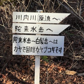 登山口にこの標識‼️