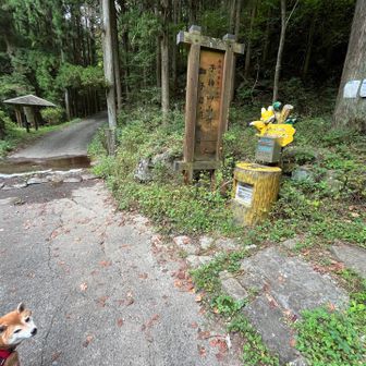 登山口で狐がお出迎え🦊いよいよ急登の開始😅