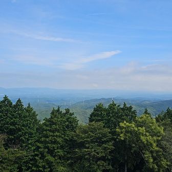 サイコーです😁