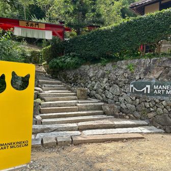 招き猫美術館
入場料は一般600円です☝️