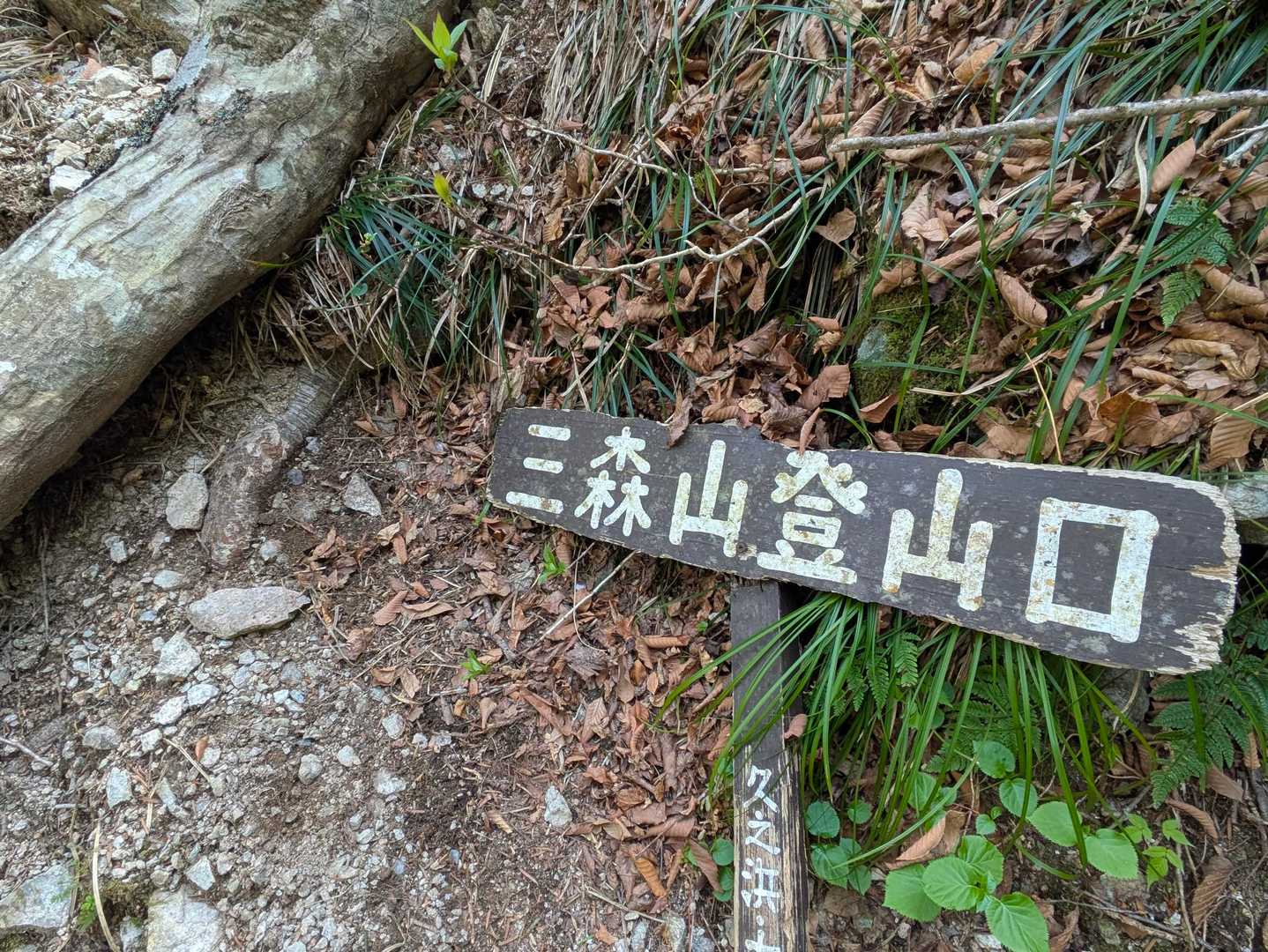 ここからがキュート