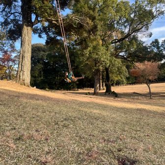 ﾌﾞﾗｰﾝﾌﾞﾗｰﾝ♪
ここは低くてちょうどいい〜😅
③ブランコは壊れてた💦