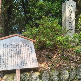 花矢倉跡。源頼朝と不仲になった義経が吉野に逃げた時にここの僧兵が義経を襲う情報を得た家来の佐藤忠信という武将が義経の鎧を身に纏いこの高櫓から敵を討ち取ったとのこと。