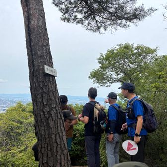 まずはキツネ山に到着。