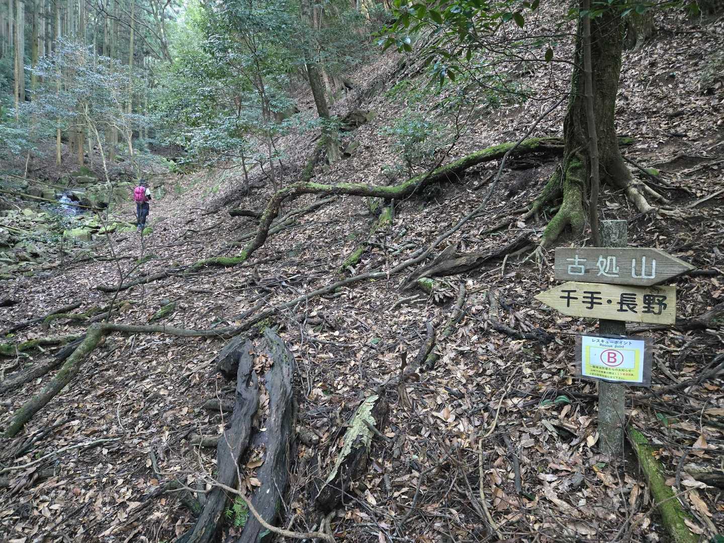 てくてく？ずんずん？
こっちじゃなかった😰