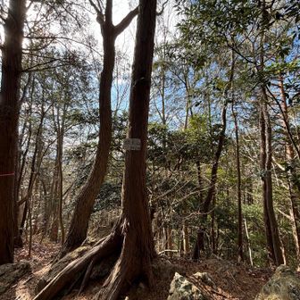 坊主山　山頂