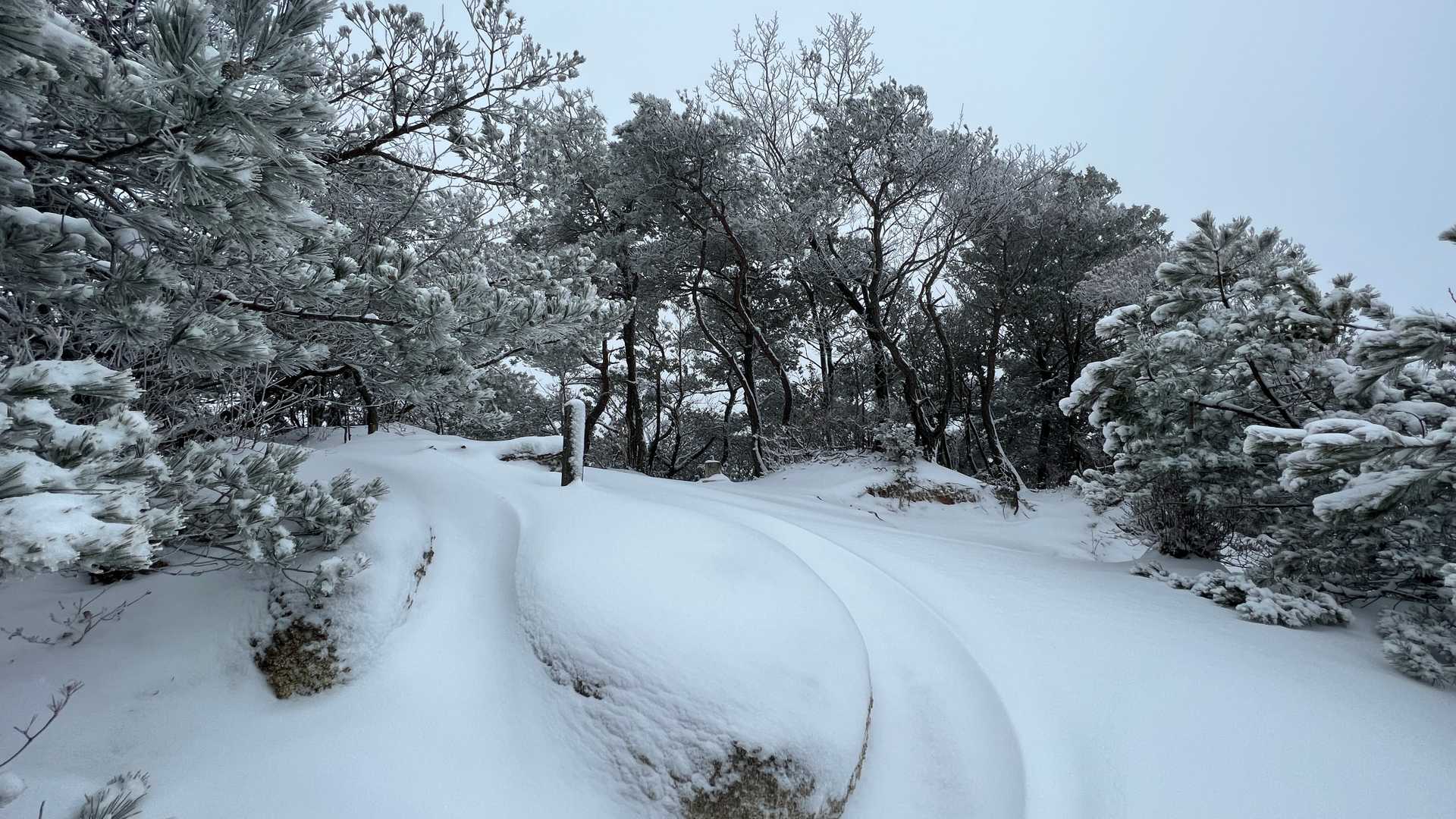 元岩巣山到着

晴れていれば景色は良さそうです