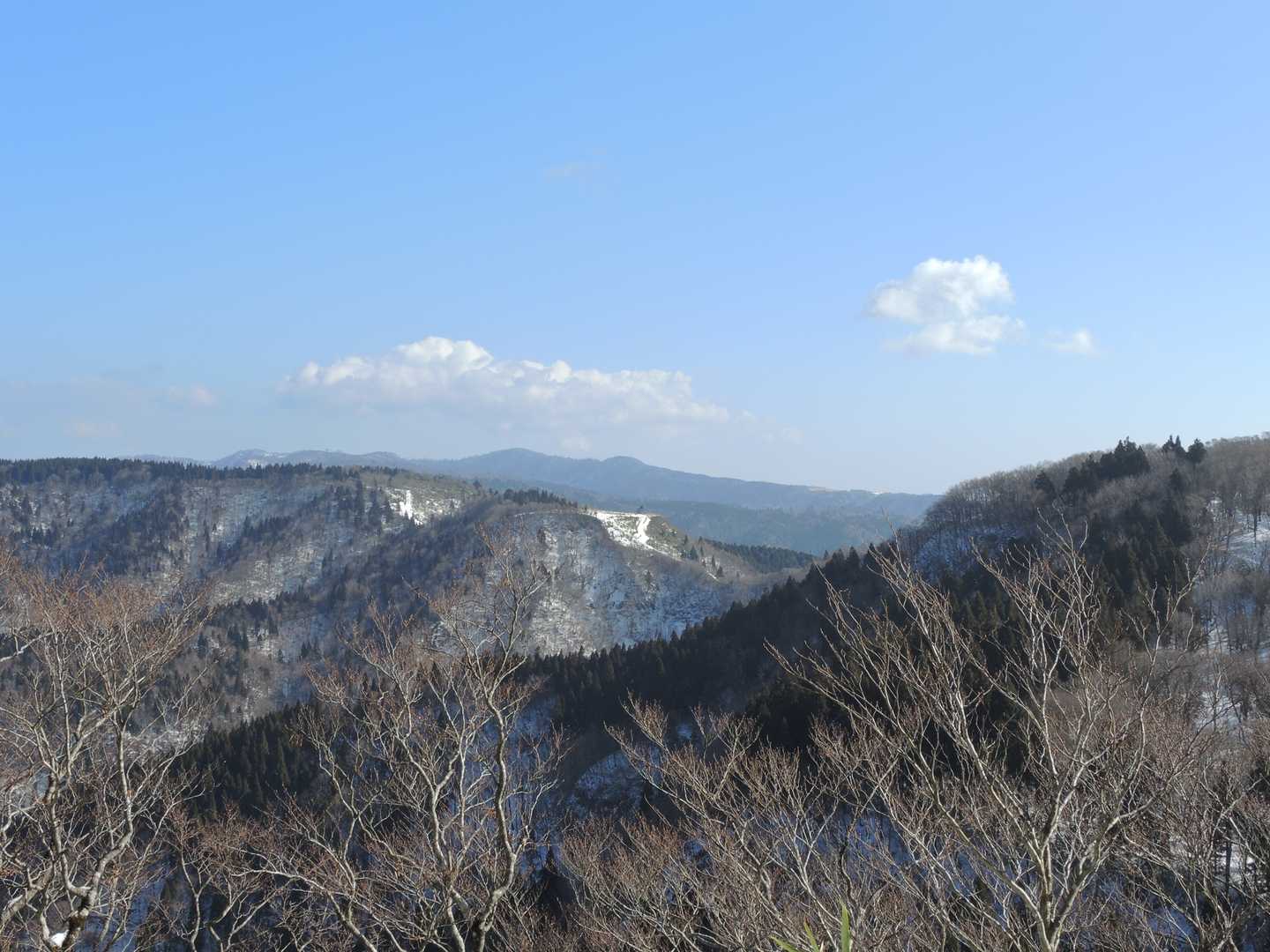 先日と同じく笹を掻き分けて😱、展望台の様子を見ながら、何処まで行こうか悩みました。🤔