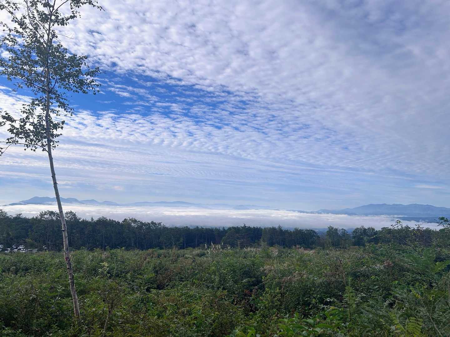 早くも雲海🤩